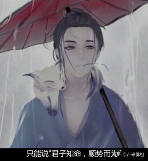 头像